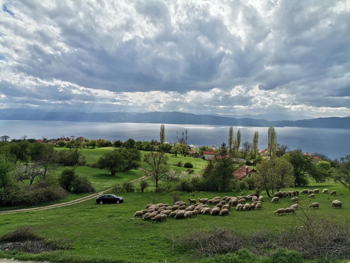 Villa Grkasha Охрид Екстериор снимка